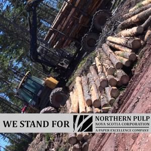 Meet your Posher, Devon